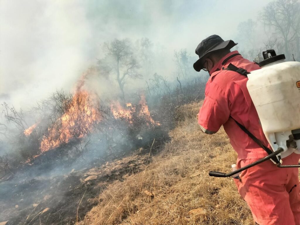 cp-2025-04-27t030044-075z-jpg