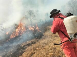 cp-2025-04-27t030044-075z-jpg