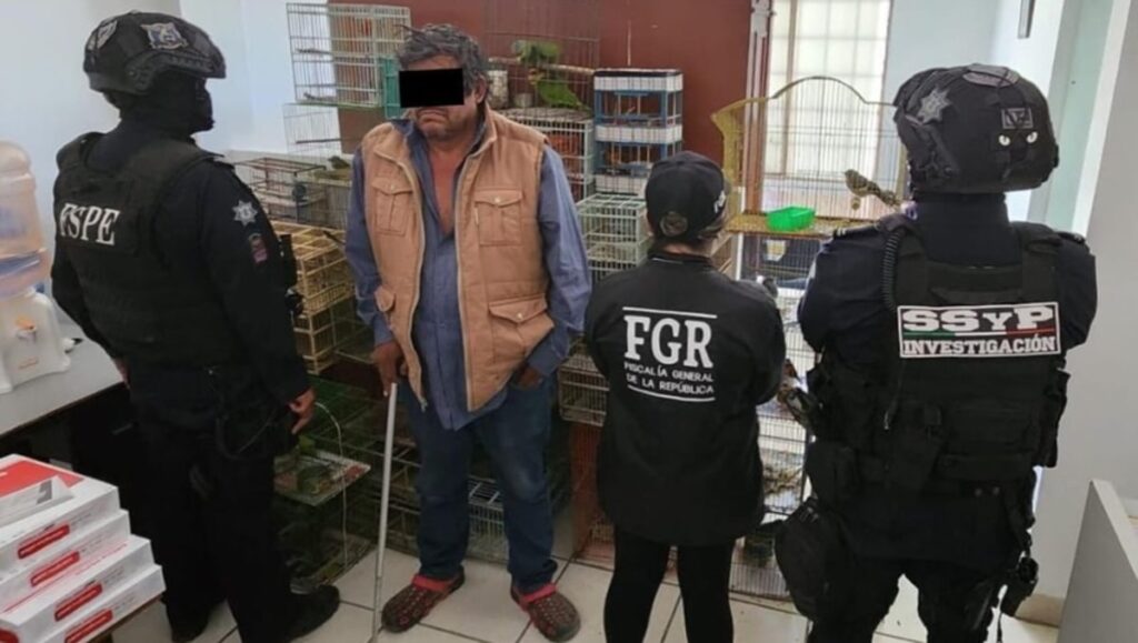 cp-2025-04-17t011929-182z-jpg