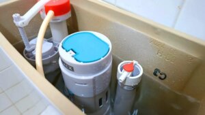 cp-2025-04-21t030401-061z-jpg