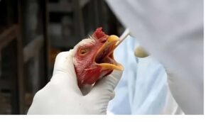 cp-2025-05-17t023151-251z-jpg