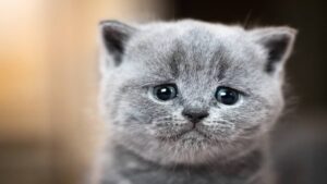 cp-2025-05-29t021918-285z-jpg