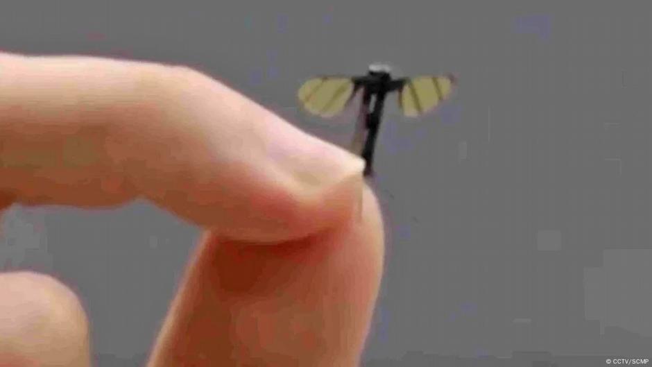 cp-2025-06-24t023003-837z-jpg