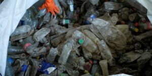 cp-2025-06-06t023922-126z-jpg