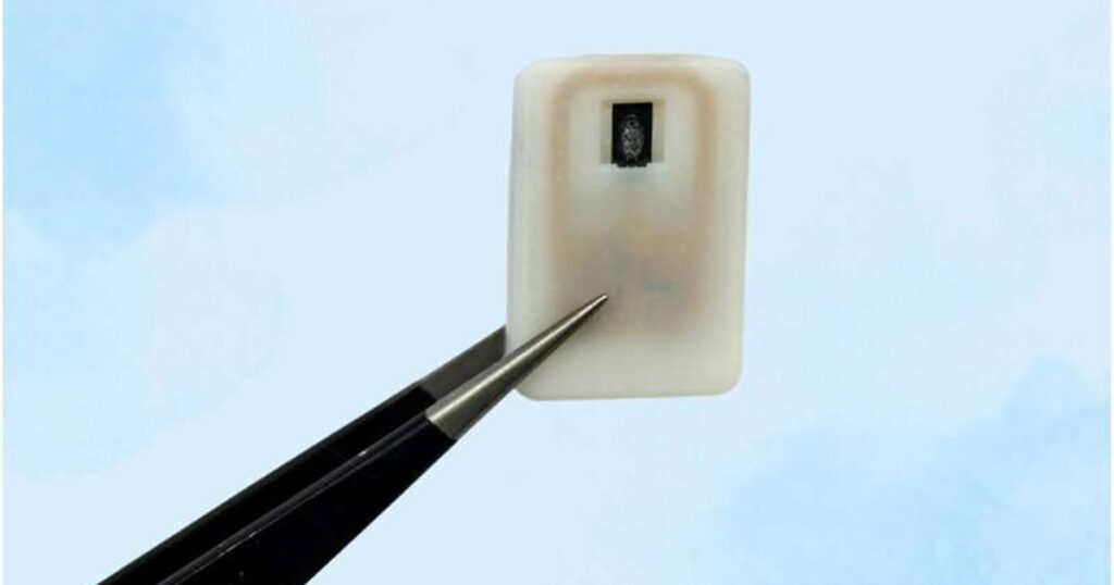 cp-2025-07-12t032235-468z-jpg