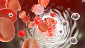 cp-2025-07-21t031137-785z-jpg