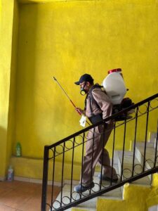 cp-2025-07-18t024954-337z-jpg