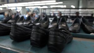 cp-2025-08-14t015906-773z-jpg