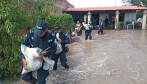 cp-2025-08-25t033910-058z-jpg